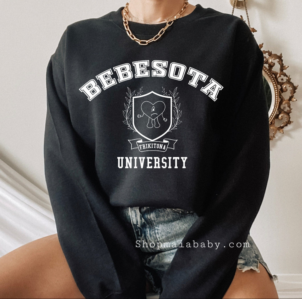 Bebesota University Sweatshirt